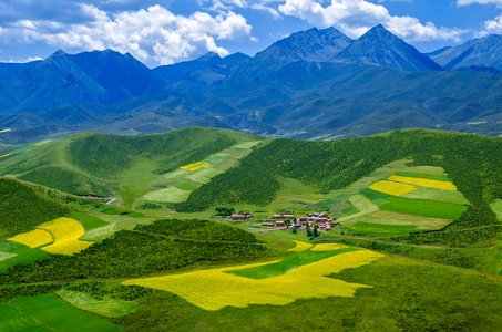 旅行-山-油菜花-色彩-自然 图片素材