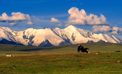 晚霞-光影-旅行-雪山-阿尼玛卿 图片素材
