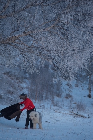 山-呼和浩特-宠物-人像-雪 图片素材