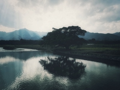 榕树-倒影-青山-绿水-风景 图片素材