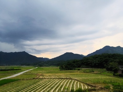 田野-后山-大雨将至-小路-风景 图片素材