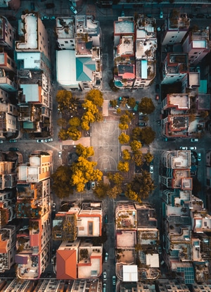 佛山市-秋冬-意境-艺术-运动 图片素材
