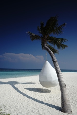 吊篮-对角线-椰树-马尔代夫-蓝天 图片素材