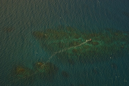 旅行-宁静-澳大利亚-大堡礁-珊瑚礁 图片素材
