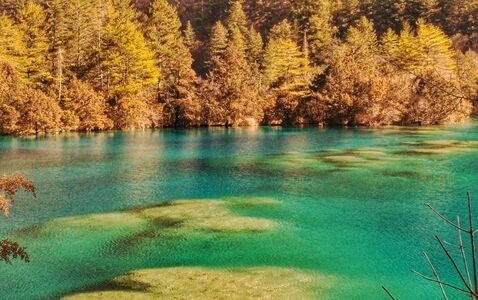 旅行-闲拍-风景-九寨沟-风景 图片素材