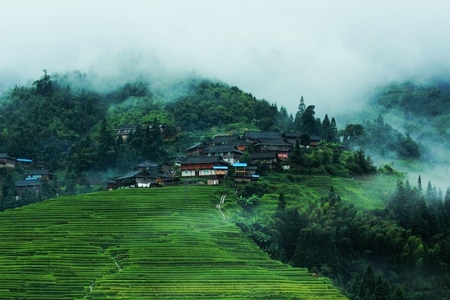 旅行-风景-加榜梯田-田地-蒸汽机车 图片素材