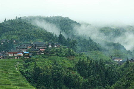 旅行-风景-树-树木-树林 图片素材