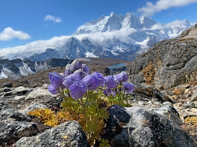 旅行-徒步-露营-雪山-西藏 图片素材