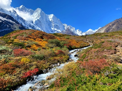 旅行-徒步-露营-雪山-西藏 图片素材