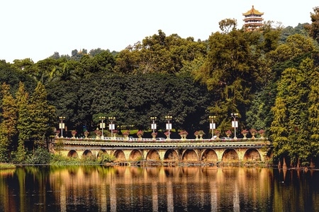 广州-建筑-公园-植物-风光 图片素材