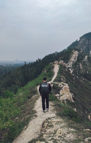 大海-山-风景-山路-游客 图片素材