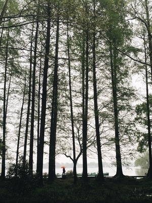 城市-宅家-环境-有意味的形式-纪实 图片素材