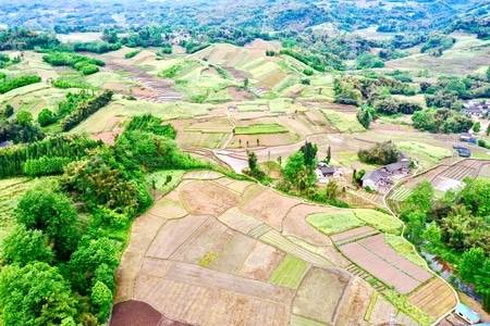 红军走过的地方-二郎山下-天全-风景-田地 图片素材