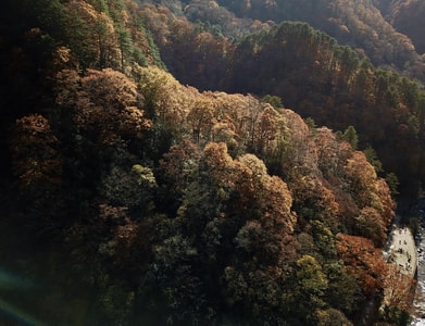 四川-巴中-南江县-风景-自然 图片素材
