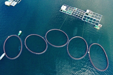 海南陵水-风景-风光-海-大海 图片素材