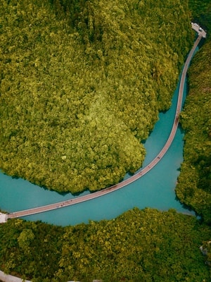 湖北-恩施-风景-树-树木 图片素材