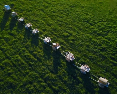 航拍-河流-风景-草地-草原 图片素材