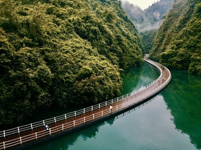 湖北-恩施-风景-树-树木 图片素材