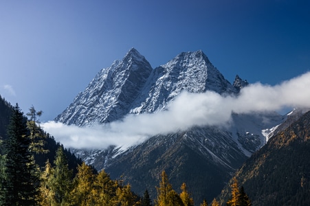 风景-风光-川西-四姑娘山-长坪沟 图片素材