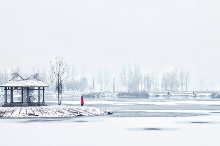 踏雪孤鸿-亭子-凉亭-雪地-冬天 图片素材
