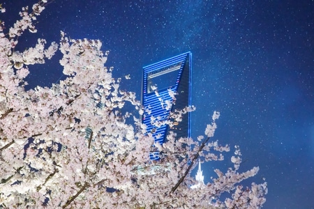 上海-城市风光-70周年城市-风景-东方明珠 图片素材