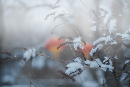 节日-灯笼-雪-疫情中-雪 图片素材