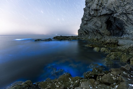 自然风光-荧光海-蓝眼泪-海洋夜空-大连海景 图片素材