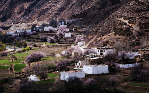 旅行-风光-房屋-村庄-村落 图片素材