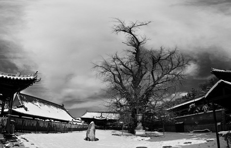 冬-古建筑-佛教-寺庙-历史 图片素材