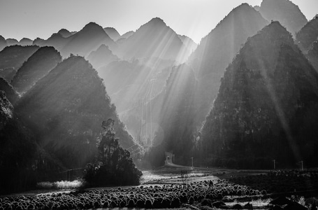 中国风-水墨画-艺术-风光-自然 图片素材