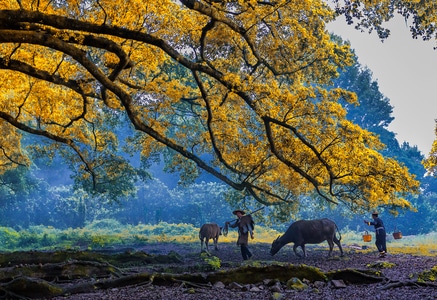 风光-自然-自然-风光-风景 图片素材