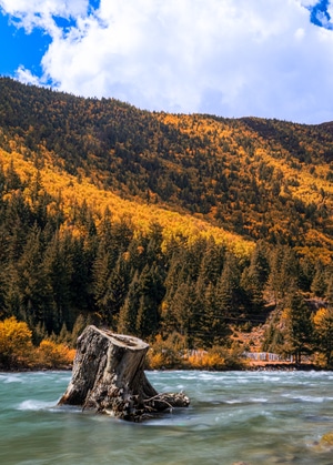 川西-贡嘎山乡-秋色-风景-风光 图片素材