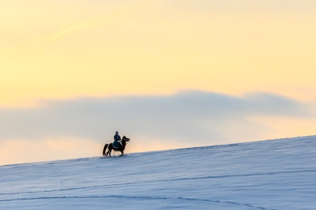 原创-风光-雪原-骑行-雪景 图片素材