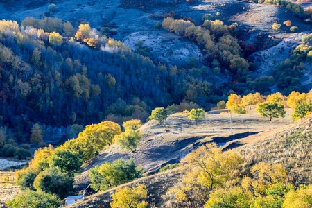 原创-风光-坝上-秋色-山峰 图片素材