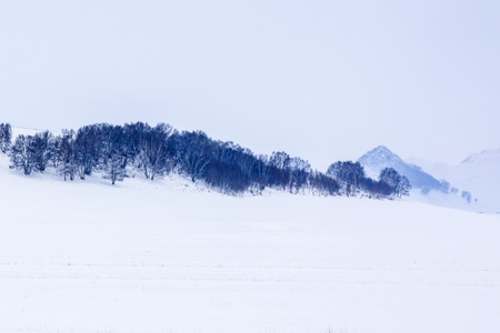 你好2020-年味-风光-雪原-滑雪 图片素材