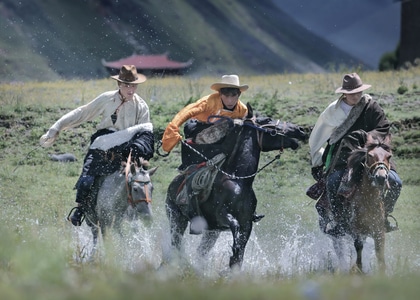 阿坝-赛马-藏民-男人-男性 图片素材