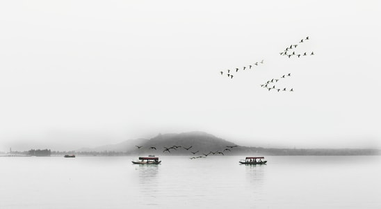 旅行-武汉梨园-画-湖-湖泊 图片素材