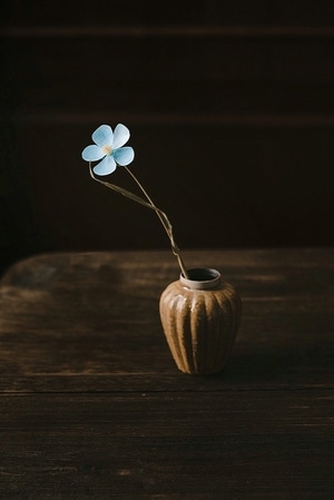 茶器-花器-干花-春天-极简 图片素材