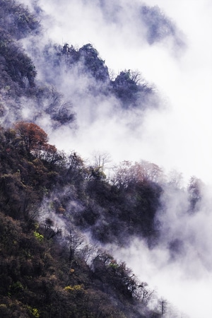 风光-云海-秋色-山川-风景 图片素材