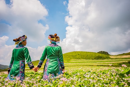 贵州-毕节-威宁-乔麦花-女人 图片素材