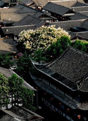 尘世烟火-人文-手机摄影-建筑-文殊院 图片素材