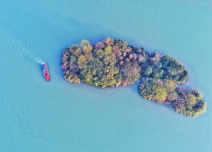 城市-航拍-发卡-植物-风景 图片素材