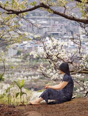 梨花-城市-女人-女性-树 图片素材