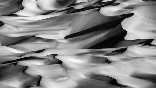 自然风光-沙漠-黑白-海螺-沙漠 图片素材
