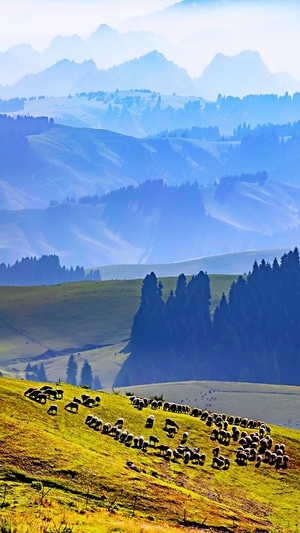 草原-风景-风景-风光-雾 图片素材