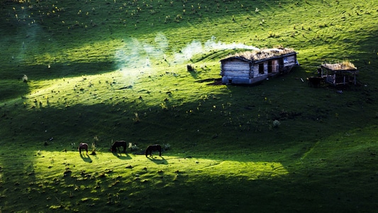 风光-自然风光-草地-草原-风景 图片素材