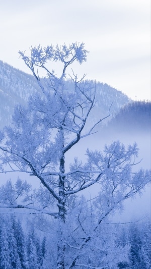 自然风光-风景-山峰-雪山-风景 图片素材