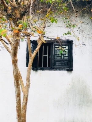 窗-风景-手机摄影-窗-窗阁 图片素材