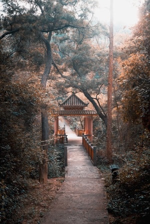 尼康-色彩-后期-构图-逆光 图片素材