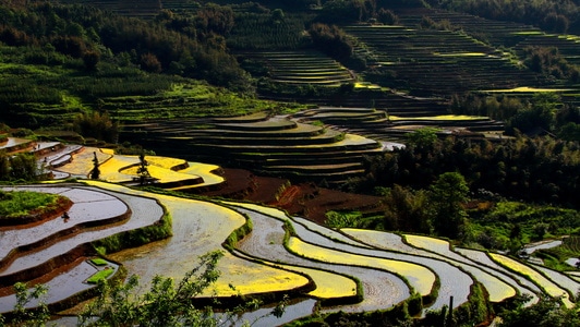 光影-线条-色块-梯田-明暗 图片素材